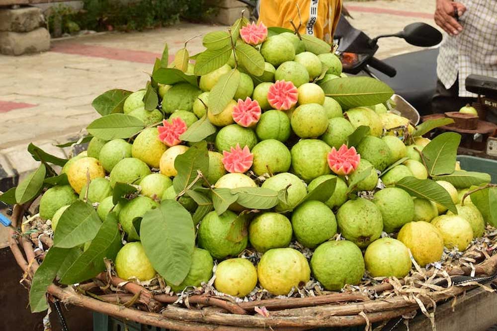 পেয়ারার উপকারিতা