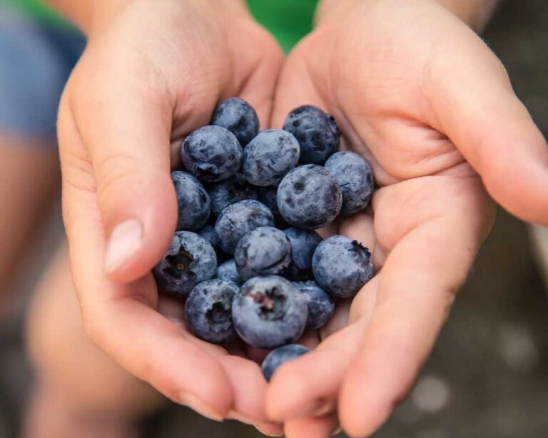 blueberries